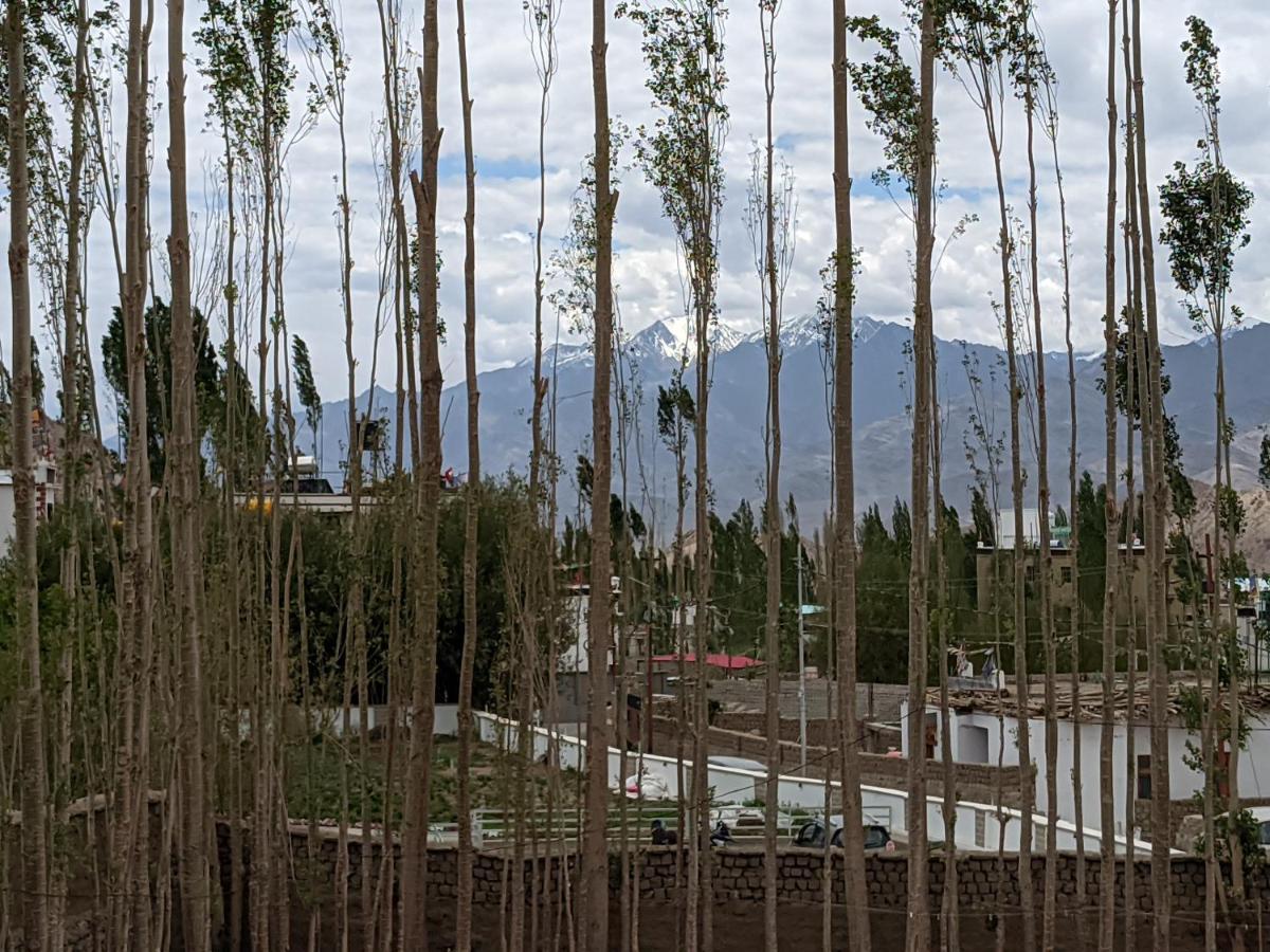 Chandan Guest House Leh Luaran gambar
